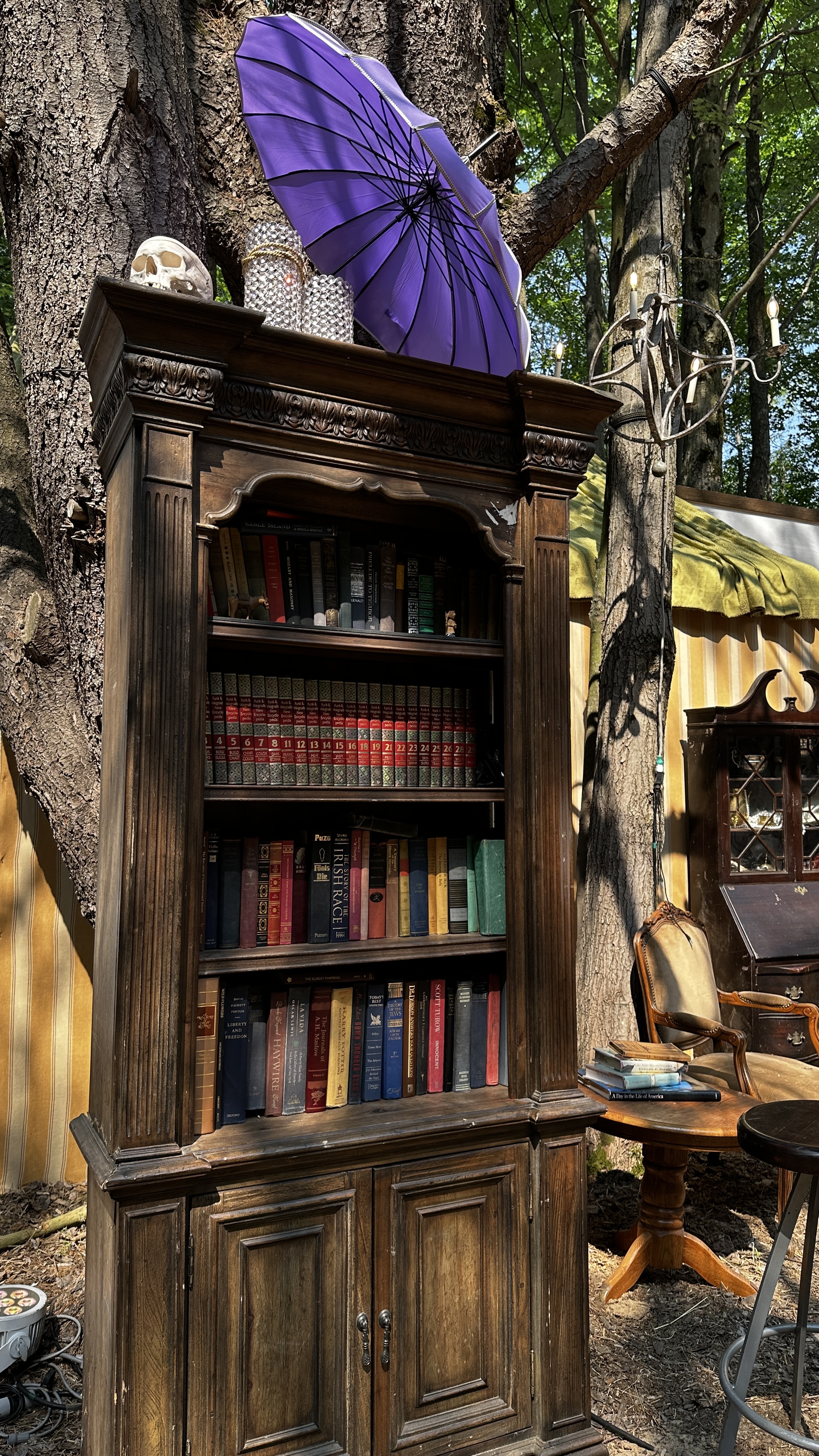 The Library