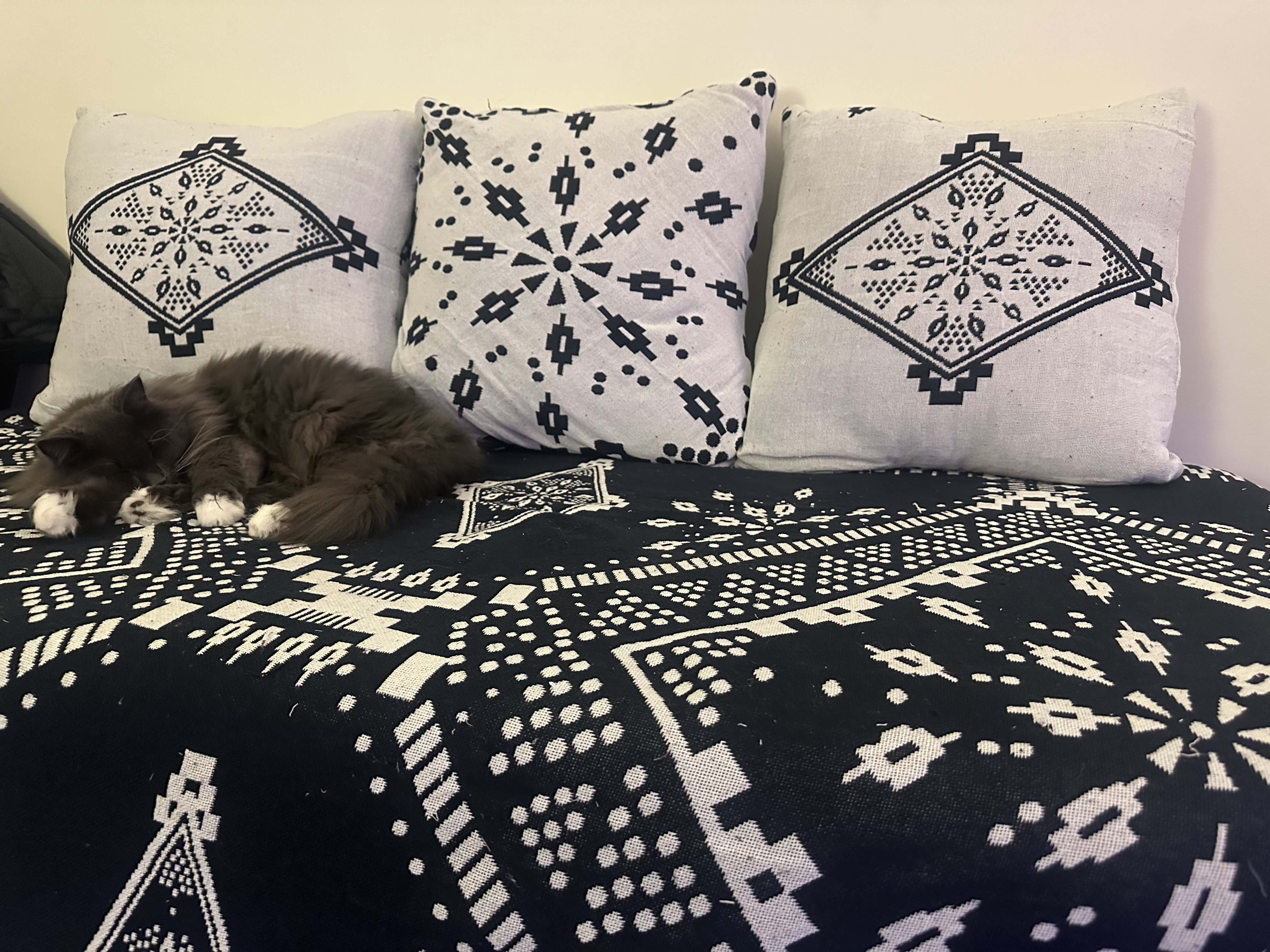 Cushions